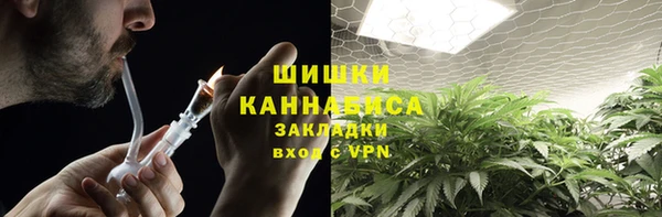 2c-b Заводоуковск