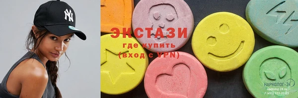 гашик Ельня