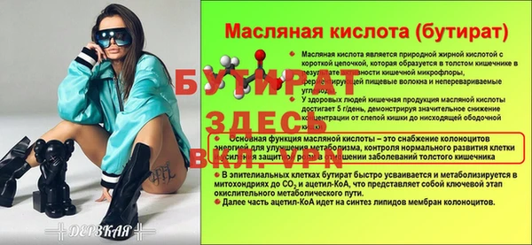 гашик Ельня
