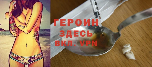 гашик Ельня