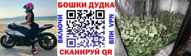 Купить  Макушино  Канабис LSD WEED 